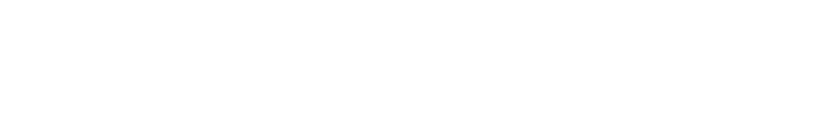 Cyber Valley Reverse Logo